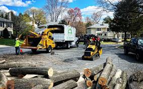 Best Lot and Land Clearing  in Puyallup, WA